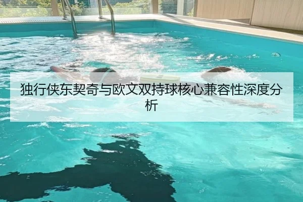 独行侠东契奇与欧文双持球核心兼容性深度分析